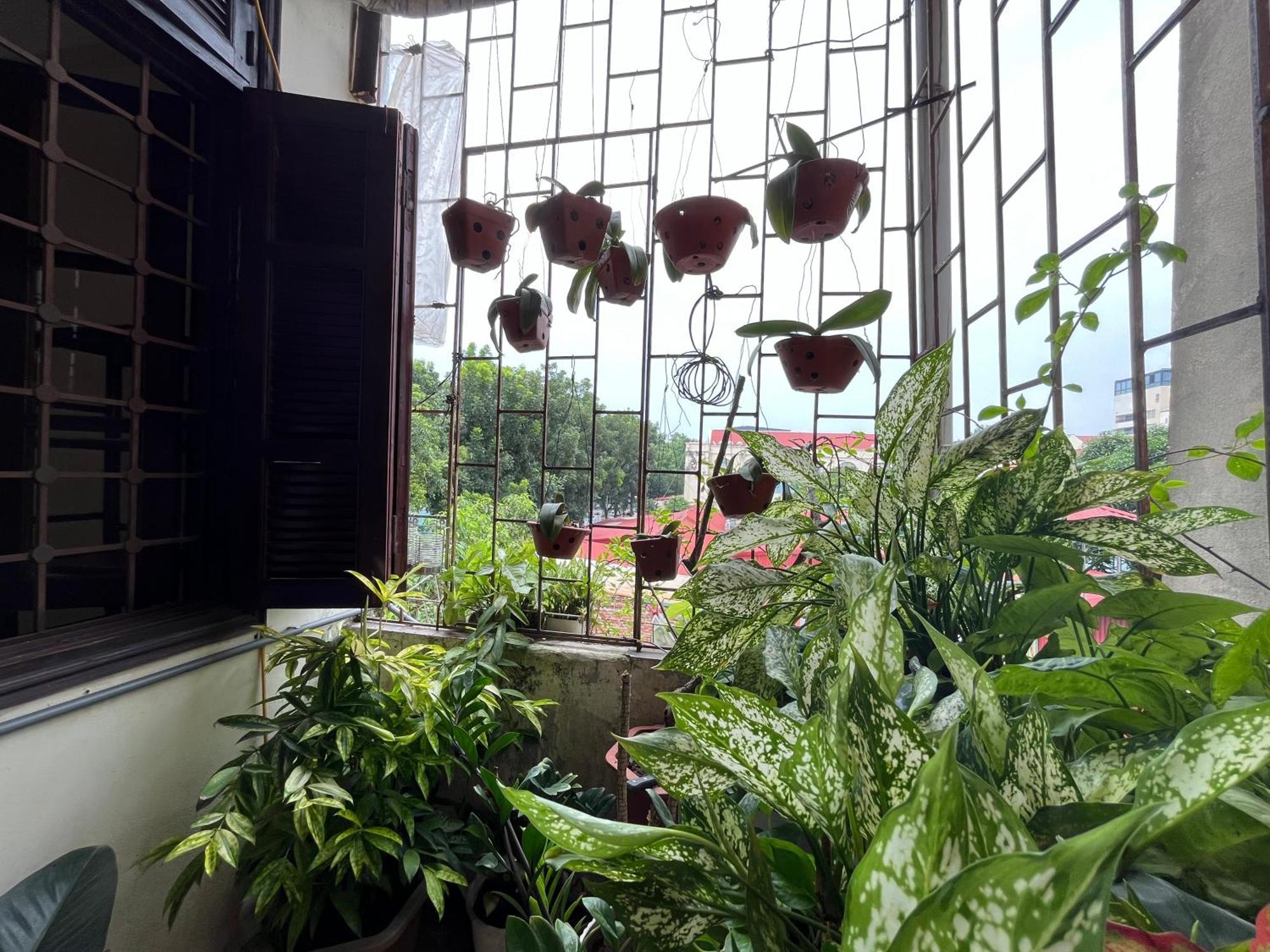 Tropical Land Little Hanoi Homestay Exterior foto